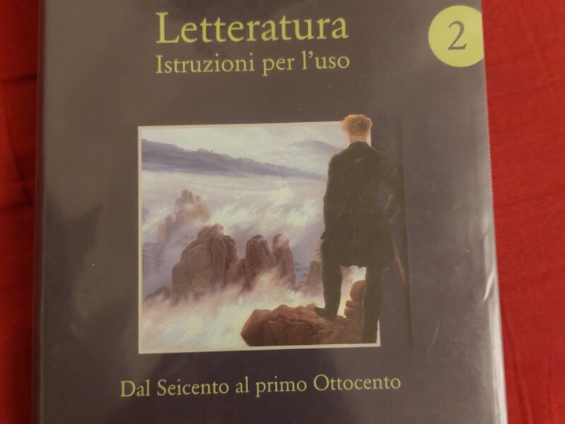 Letteratura, istruzioni per l'uso