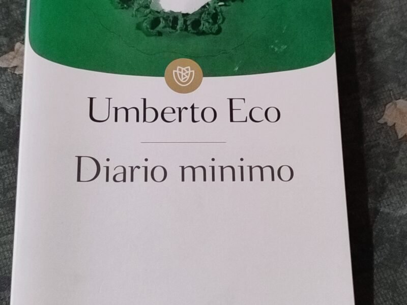 Diario Minimo