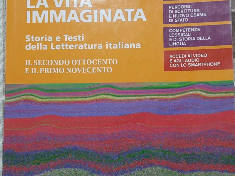 La vita immaginata