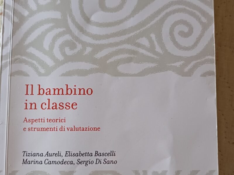 Il bambino in classe aspetti teorici e