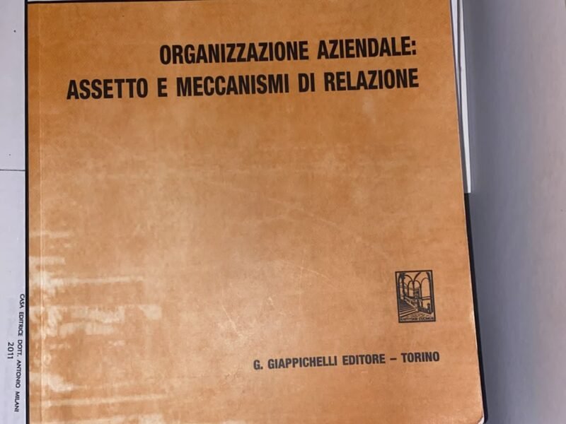 ORGANIZZAZIONE AZIENDALE: ASSETTO E MECCANISMI DI RELAZIONE