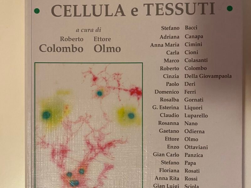 Cellula e tessuti