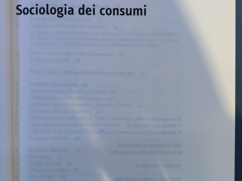 Manuale di Sociologia dei consumi