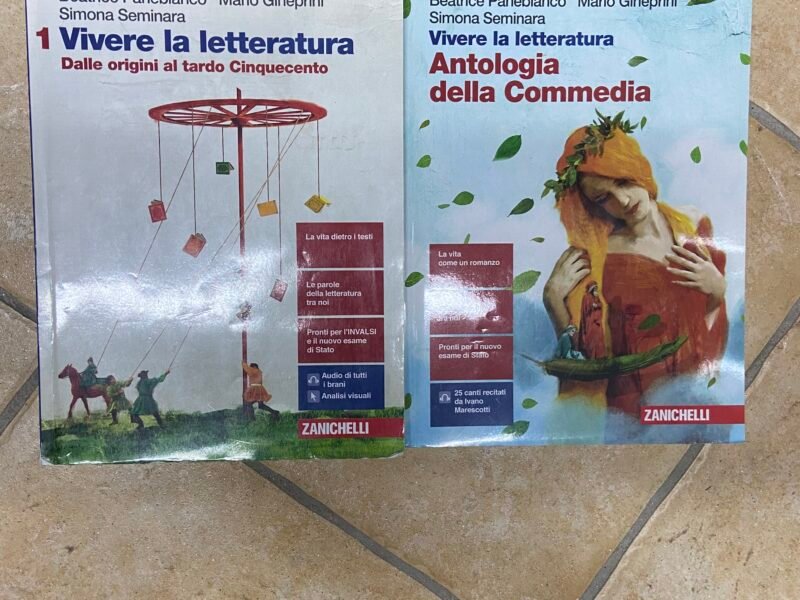 libri promessi sposi e italiano