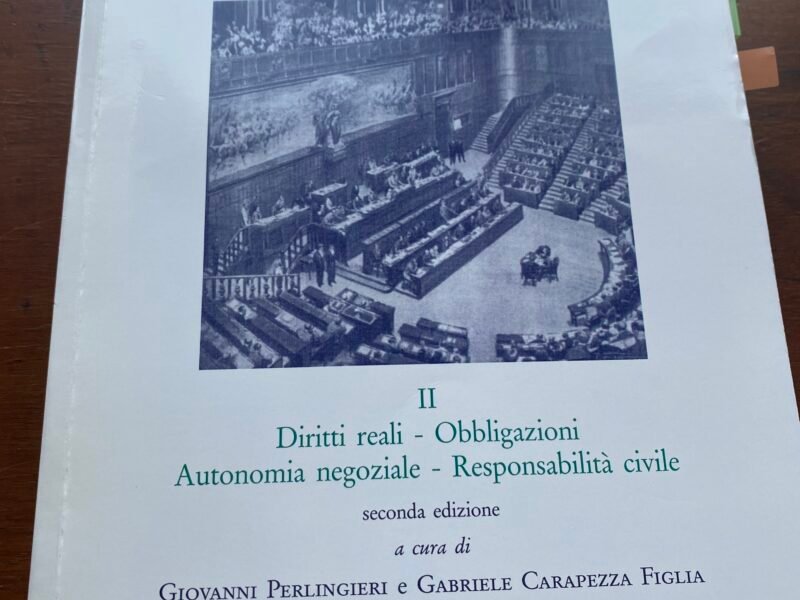 L'INTERPRETAZIONE SECONDO COSTITUZIONE NELLA GIURISPRUDENZA II, DIRITTI REALI, OBBLIGAZIONI, AUTONOMIA NEGOZIALE, RESPOSNSABILITA CIVILE