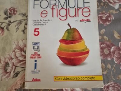 Formule e figure 5