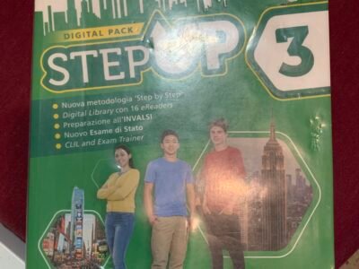 Step up 3