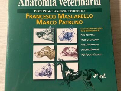 Anatomia veterinaria 1a edizione