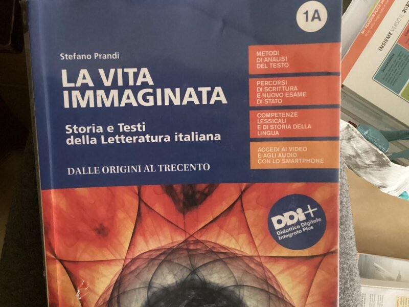 La vita immaginaria 1A