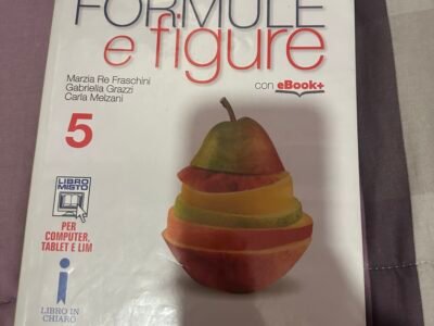 Formule e figure 5