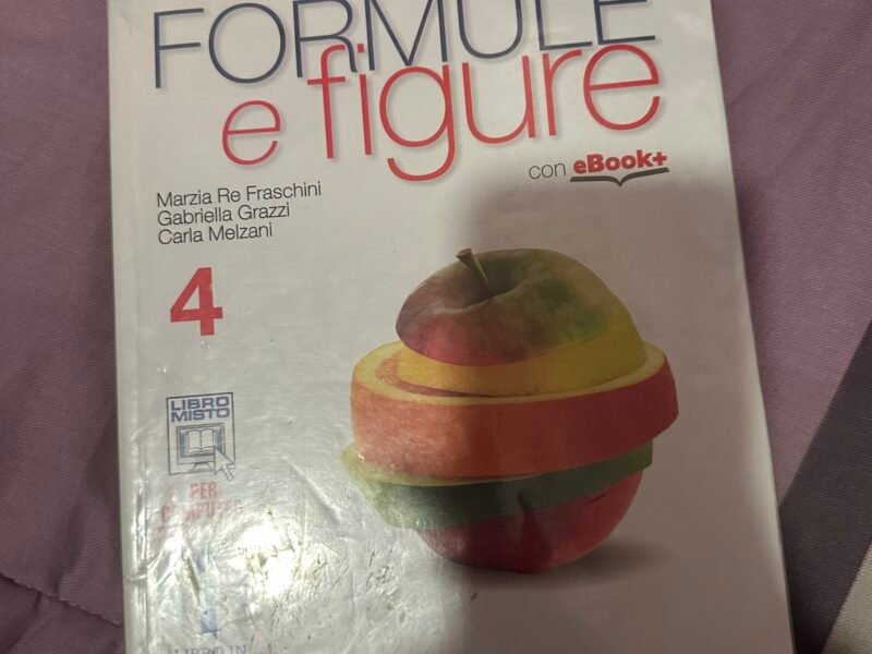 Formule e figure 4