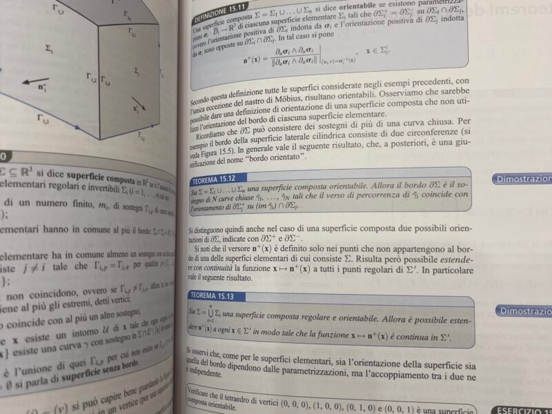 Analisi Matematica Bertsch-Dal Passo-Giacomelli