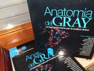 Gray Le basi anatomiche per la pratica clinica