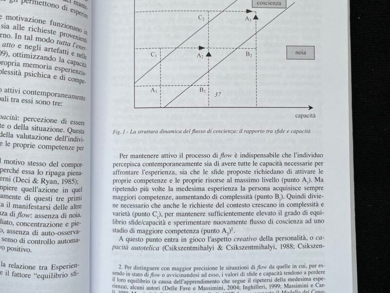 Flow, benessere e prestazione eccellente. Dai modelli teorici alle applicazioni nello sport e in azienda