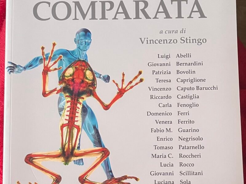 Anatomia comparata