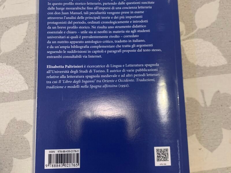 La spagna letteraria: dalle origini al XIV secolo