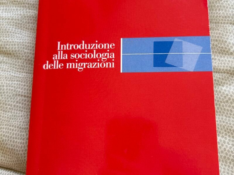 Introduzione alla sociologia delle migrazioni