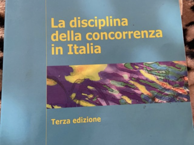 La disciplina della concorrenza in Italia