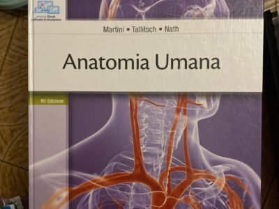 Anatomia Umana, Martini