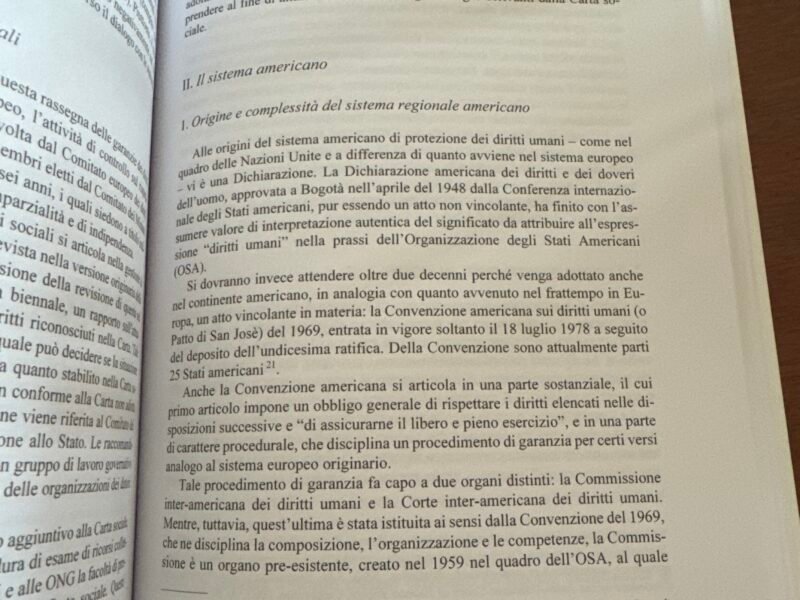 La protezione internazionale dei diritti umani