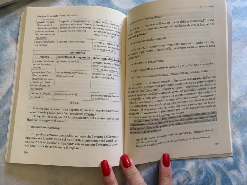 Uno sguardo sul verbo: forme, usi, varietà