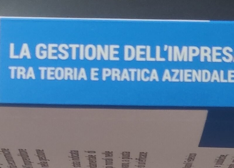 La Gestione Dell'Impresa