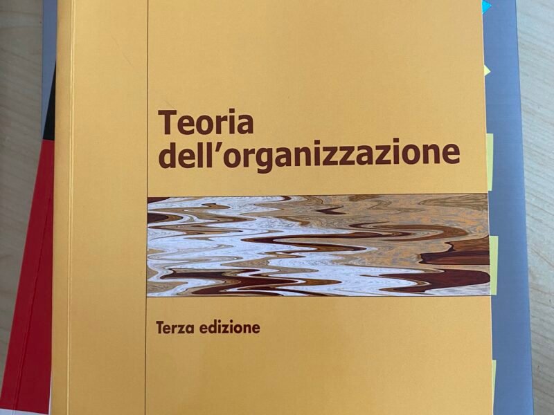 Teoria dell’organizzazione