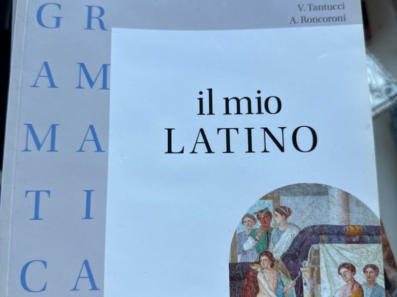 il mio latino, grammatica