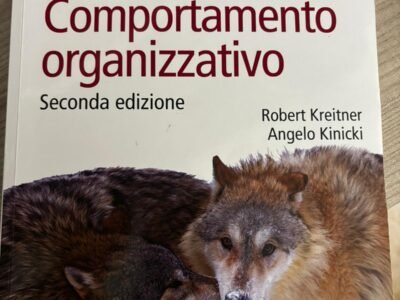 Comportamento organizzativo