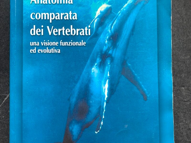 Anatomia comparata dei Vertebrati