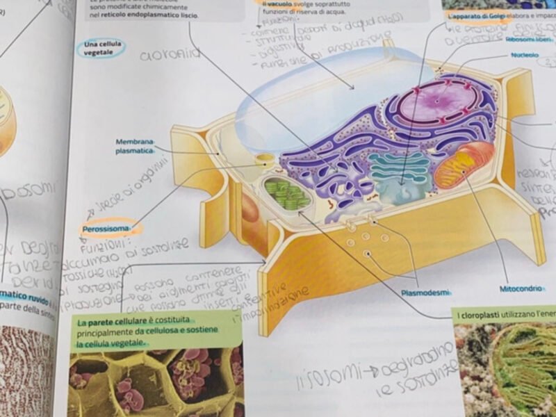 La nuova biologia e la biosfera e la cellula.