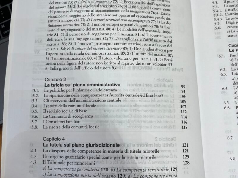 Manuale di diritto minorile