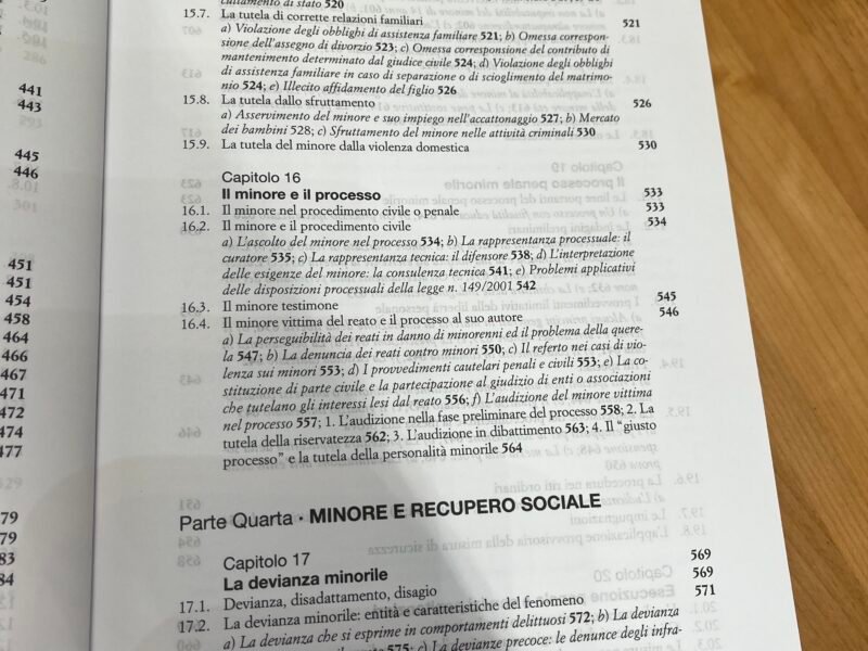 Manuale di diritto minorile