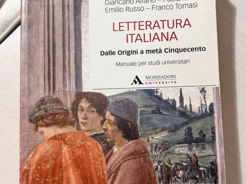 Letteratura italiana-Dalle origini a metà 500