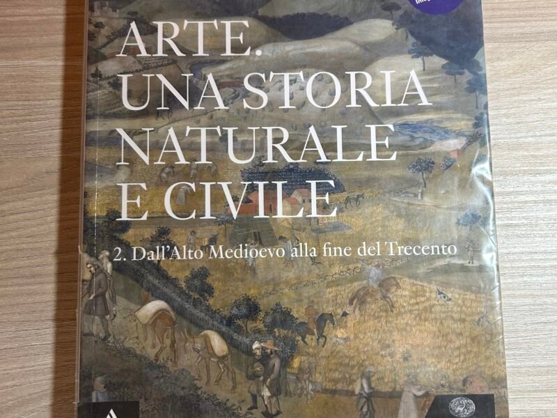 Arte una storia naturale e civile volume 2